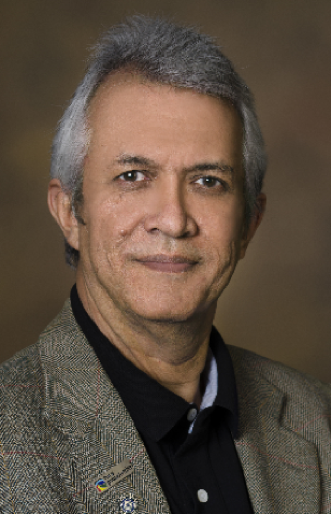 HAS Regents Professor Hoshin Gupta